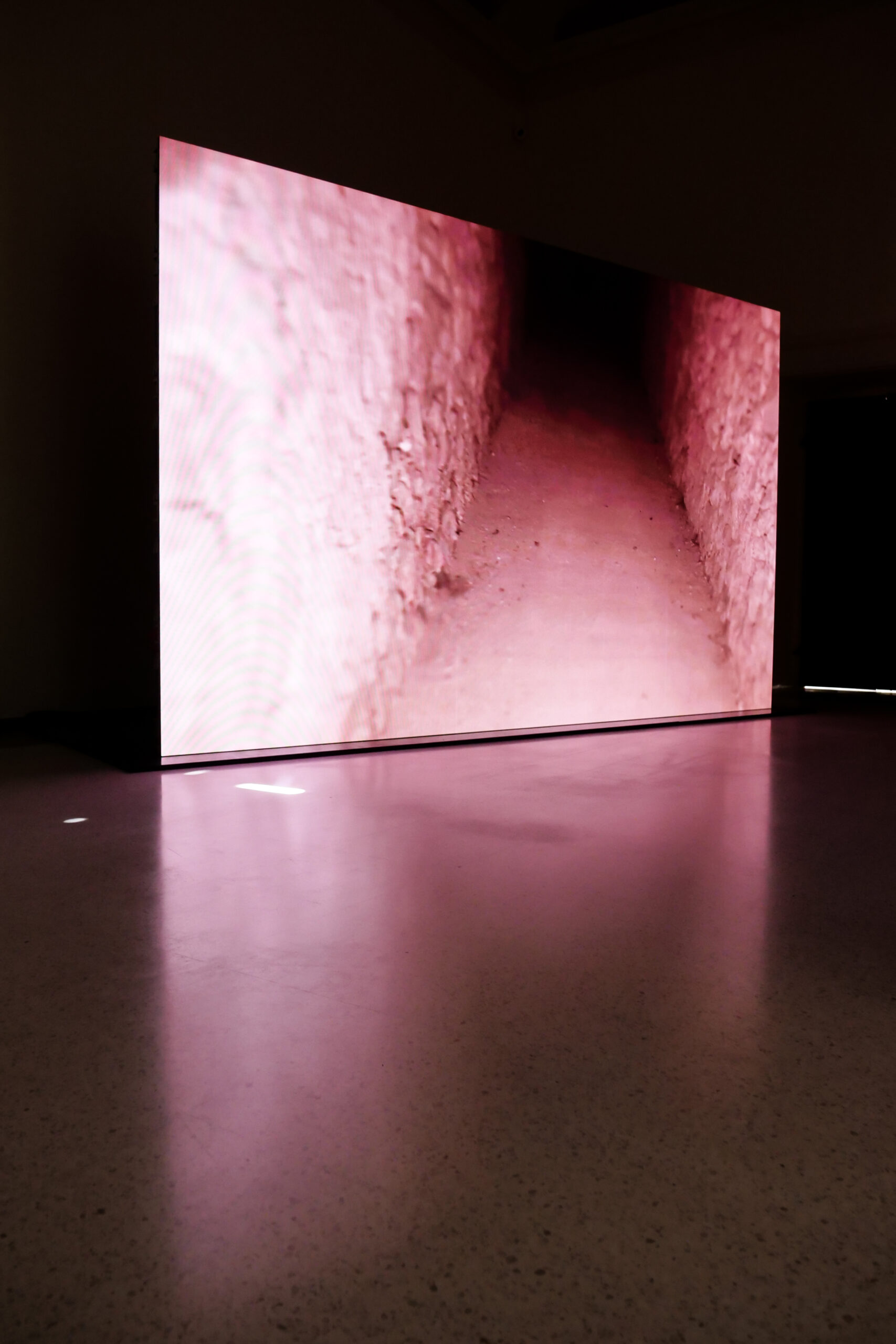 M_2021_GLI OCCHI DEL TOPO_INSTALLATION VIEW 7