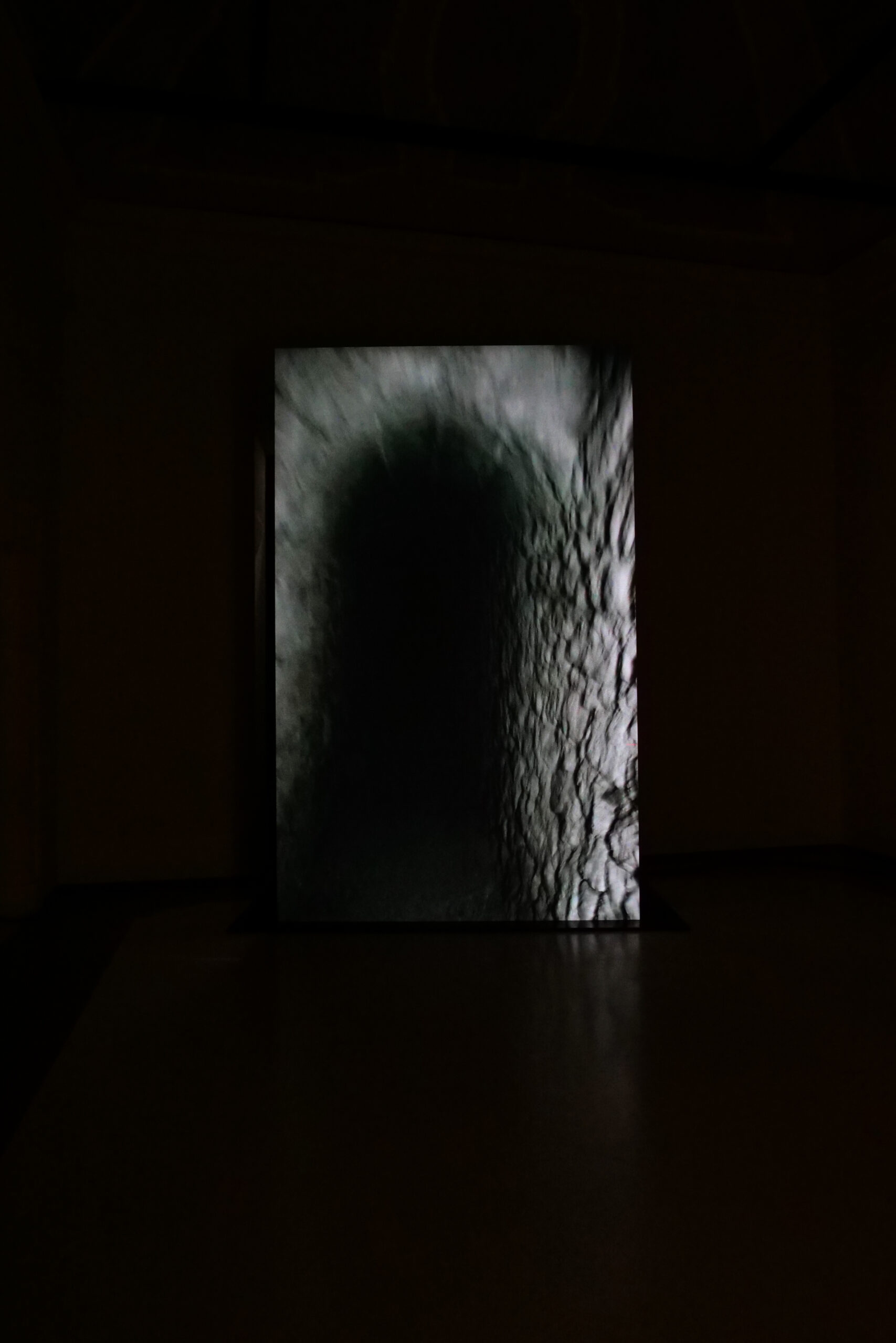 M_2021_GLI OCCHI DEL TOPO_INSTALLATION VIEW 3