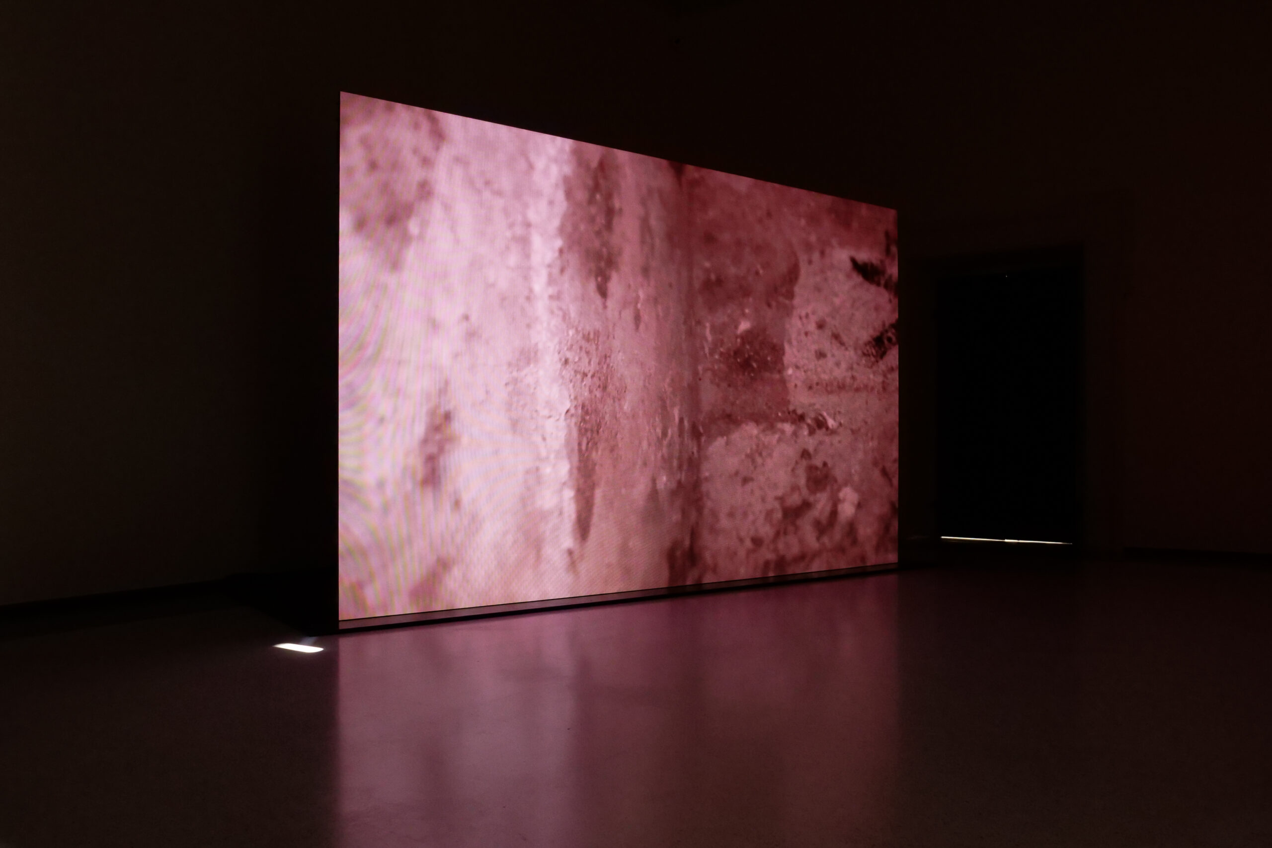 M_2021_GLI OCCHI DEL TOPO_INSTALLATION VIEW 5