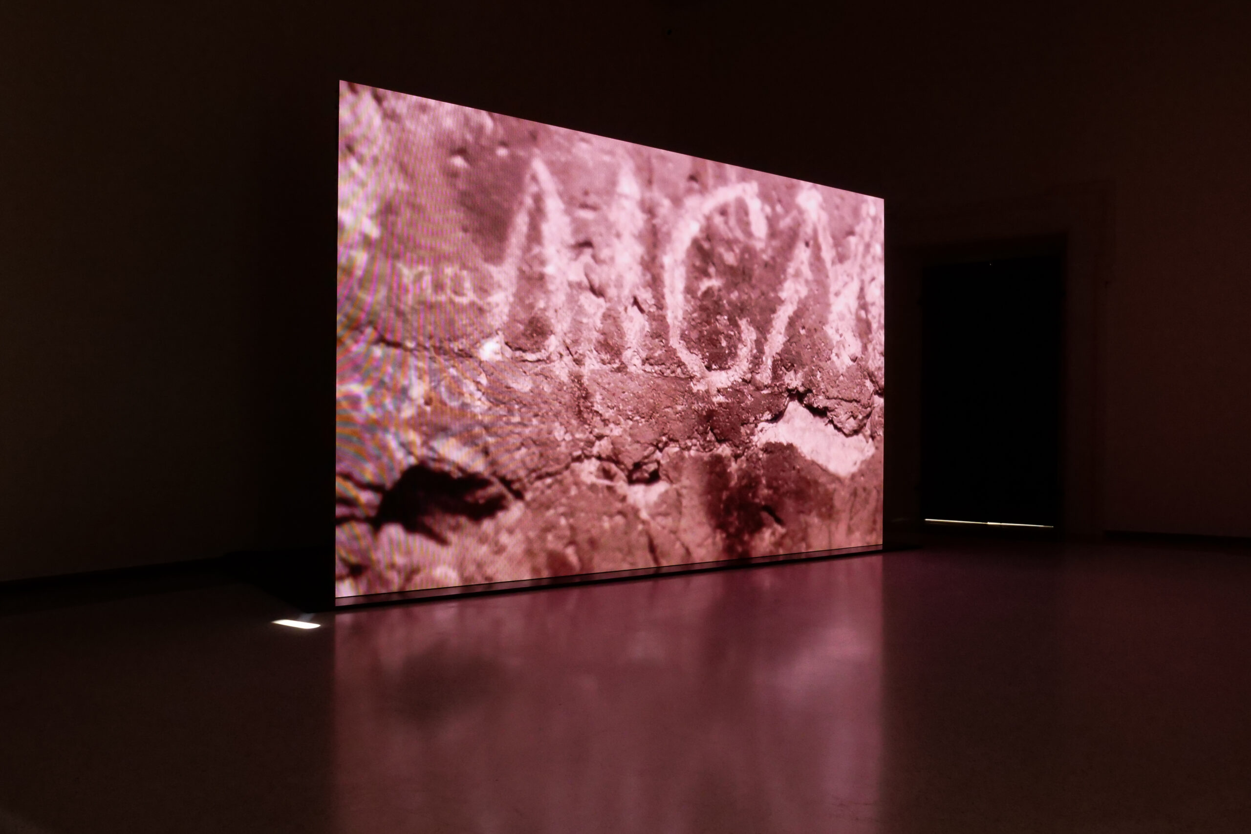 M_2021_GLI OCCHI DEL TOPO_INSTALLATION VIEW 6